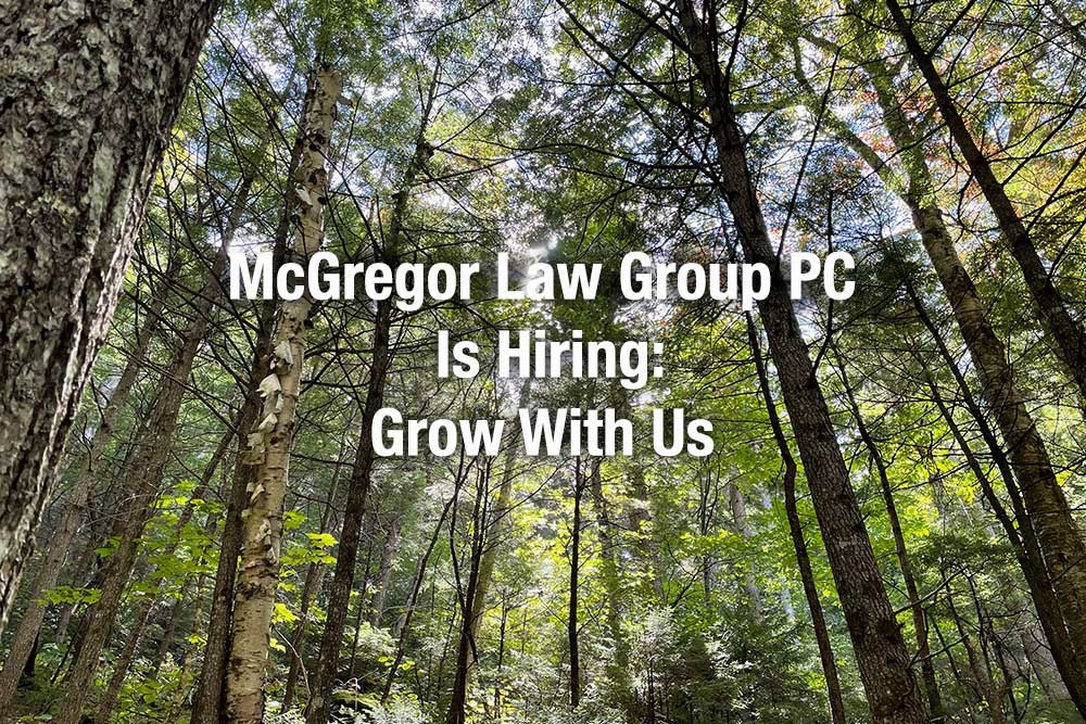 Litigator Opportunity
