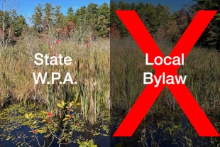 Can a Conservation Commission Approve a Project Under the State Wetlands Act But Disapprove It Under a Local Bylaw?