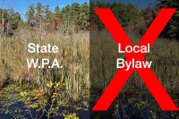 Can a Conservation Commission Approve a Project Under the State Wetlands Act But Disapprove It Under a Local Bylaw?